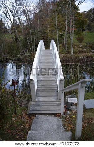 Foot bridge over a stream on Mount Desert Island in Maine.
