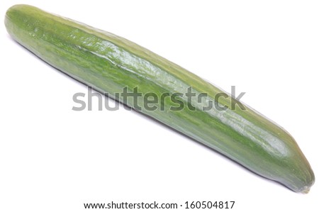 A whole ripe green organic English cucumber. Image isolated on white studio background.