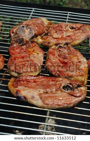 Delicious grilled meat (lamb chops) on a grill for barbecue (South African Braai) in the garden in summertime