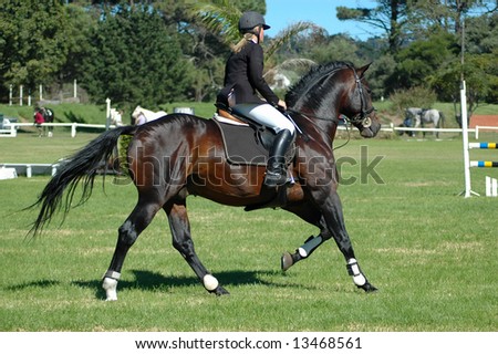 horse rider fashion