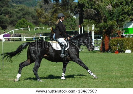 Equestrian sport: a female caucasian horse rider riding her beautiful black horse at the riding school outdoors