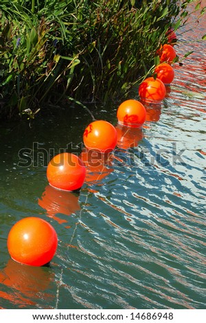 Lots of round orange buoys in the water to separate the water plants in a lake in nature showing the way for the boats in a sport event