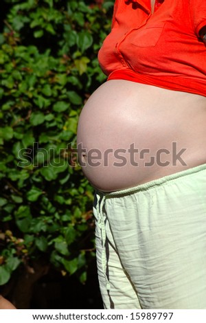 stock photo A caucasian woman showing and her huge white pregnant belly