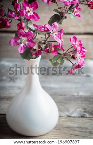 pink flowers in vase on wooden background