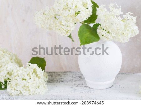 hydrangea in white vase on grunge background