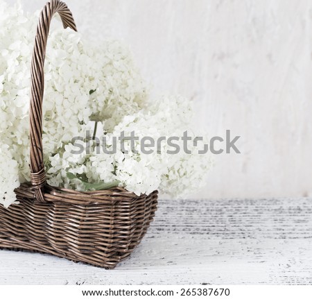 hydrangea in basket on grunge background