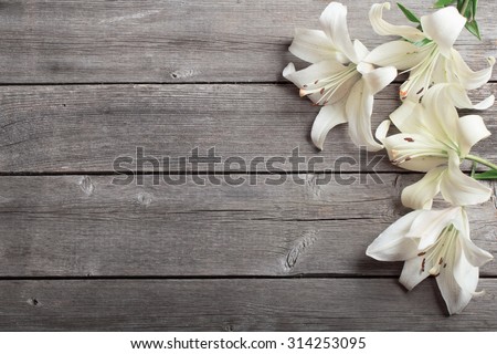 white lily on wooden background