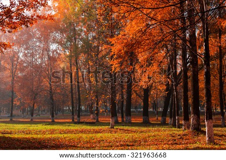 sunny autumn landscape