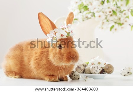 little rabbit with spring flowers and Easter eggs