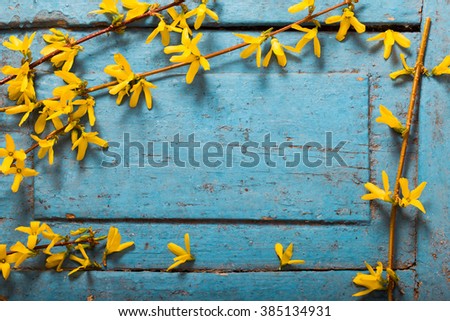 Spring yellow flowers on old blue wooden background