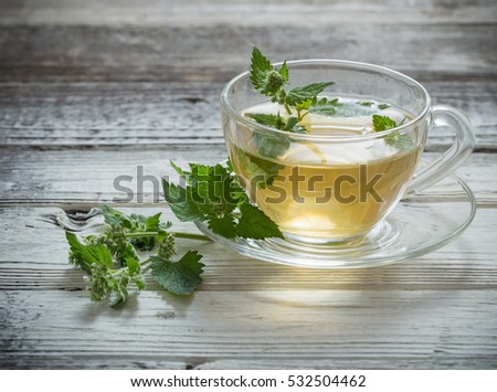 green melissa herbal tea in glass cup on wooden background