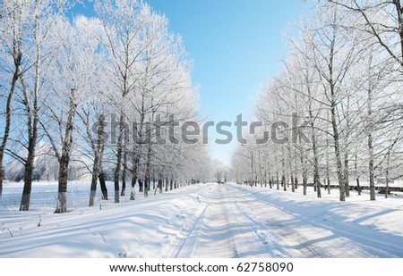 winter landscape