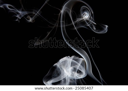 Duck shaped smoke on a black background