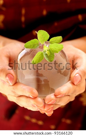 Green world- Globe and green plant in the hands