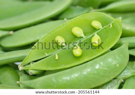 Green succulent sugar snap peas for dinner.