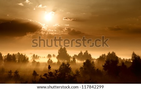 Landscape, sunny dawn, sunrays in fog
