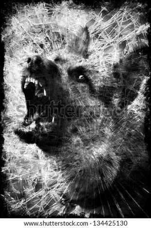 Abstract image of mad dog and cracked glass