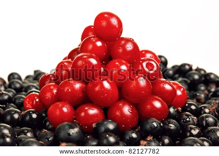 blackberries white