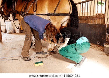 Two woman cleaning horse