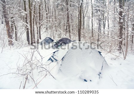 tent in the snow-covered forest
