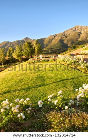 Flower bed and lawn against mountains - sunset light. Shot in Western Cape, South Africa.