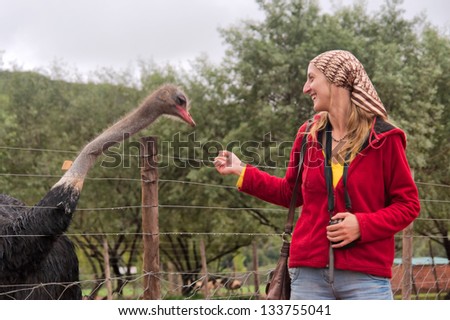 Happy girl plays with ostrich. Shot in a game lodge near Oudtshoorn, Western Cape, South Africa.
