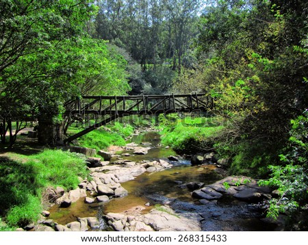 Bridge over small river in tropical park. Shot in Paradise Valley Nature Reserve, Durban, South Africa.