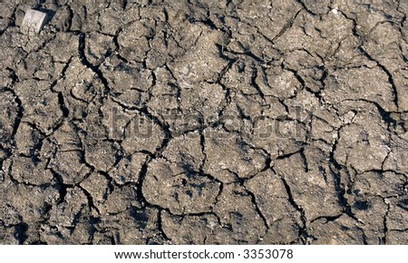 Dry marshland soil with cracks - texture in sunlight. Shot in Ukraine.