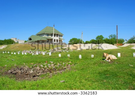 Bull lies on grass and looks at a house on hill. Shot in Ukraine.