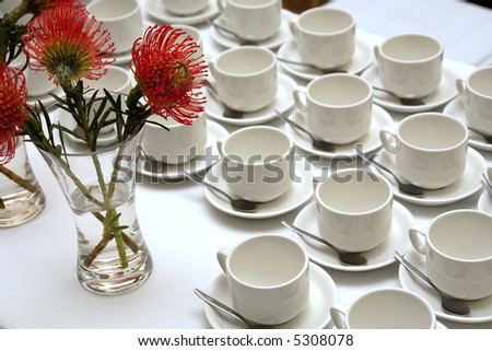 Row of cups and vase with flower on restaurant table. Shot in Stellenbosch, Western Cape, South Africa.