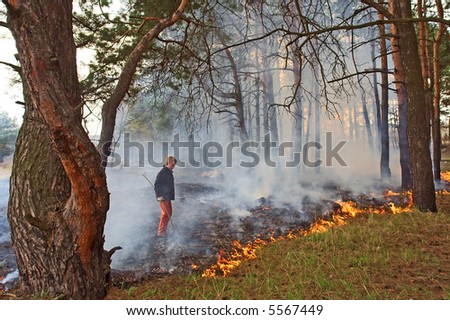 Boy looks at forest fire. Shot in pine forest park, Ukraine.