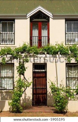 Entrance door into residential house with plants. Shot in Stellenbosch, Western Cape, South Africa.