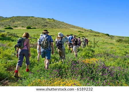 Group of hikers walks on mountain rural landscape with flowers. Shot in Kasteelberg Mountains nature reserve, near Riebeek, Western Cape, South Africa.