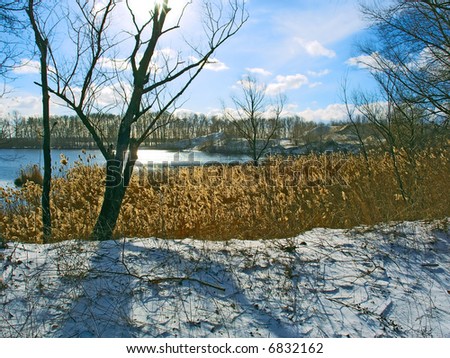 View at the winter river shore against sun. Shot near the Dnieper river, Ukraine.