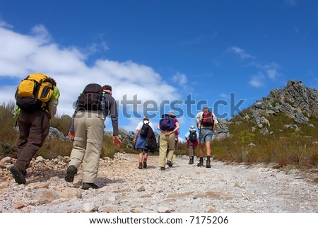 Group of hikers walks on mountain road. Shot in Hottentots-Holland Mountains nature reserve, near Grabouw, Western Cape, South Africa.