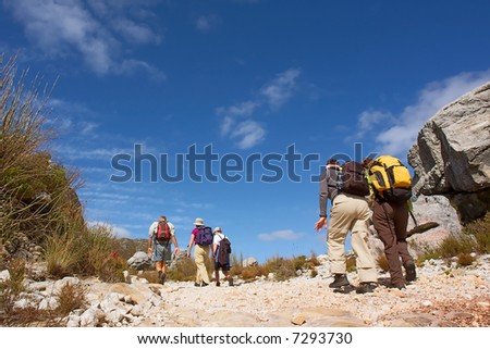Group of hikers climbs up. Shot in Hottentots-Holland Mountains nature reserve, near Grabouw, Western Cape, South Africa.