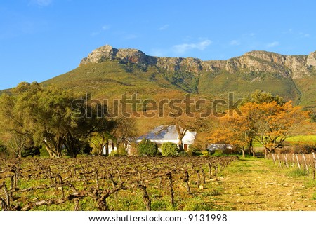 Wine farm in mountains - sunset light. Shot in August, Stellenbosch, South Africa.