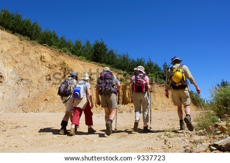 Group of five hikers walks in a row. Shot in Jonkershoek nature reserve, Stellenbosch, Western Cape, South Africa.