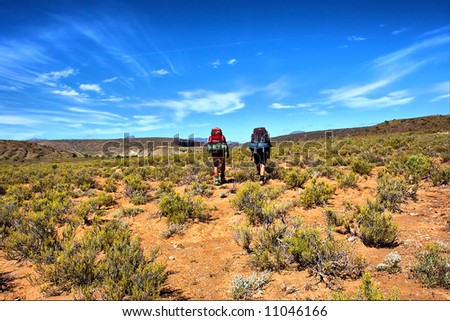 Two hikers walk across savanna towards mountains. Shot in the Langeberge highlands near Grootrivier, Garden Route, Western Cape, South Africa.