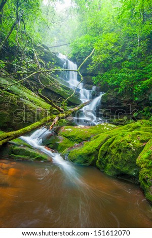 water falls over mossy rocks