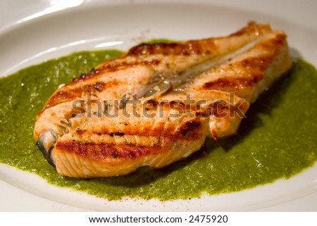 peace of roasted salmon on the white plate with green sauce