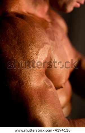 body-builder\'s body, very low DOF, close-up, focal point is on the triceps, 400 iso, real reporting from competitions