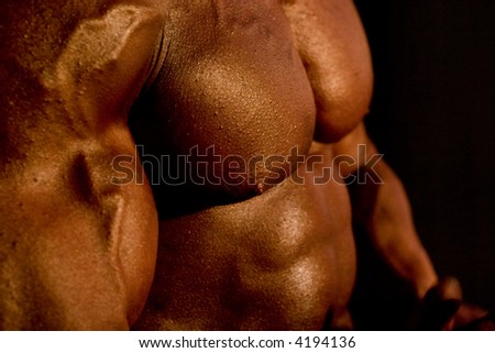 body-builder\'s body, very low DOF, close-up, focal point is on the nipple, 400 iso, real reporting from competitions
