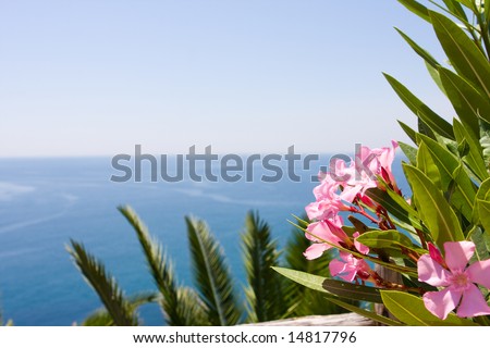Mediterranean sea and oleander flower background