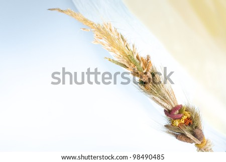 Easter bouquet of dried flowers