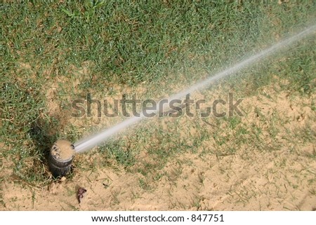 Pop up lawn irrigation system to water grass growing in sandy loam