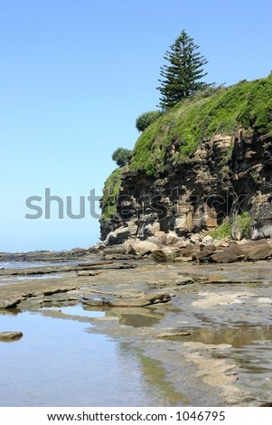 rocks and tidal pools in front of cliff at beach