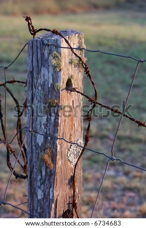 close up of old country rustic fence post with barbed wire in early morning light