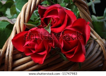 red long stem roses in wicker basket