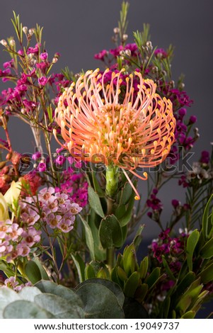 bouquet of colorful fresh native australian flowers